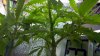 2011-09-14_17-10-22_337.jpg