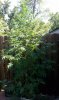 IMAG0017.jpg