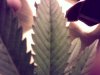 16092011023.jpg 16092011023.jpg