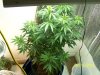 101_1781.jpg