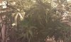 IMAG0023.jpg IMAG0023.jpg