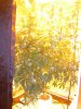 DSCN2369.jpg