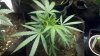 2011-09-16_17-24-44_198.jpg