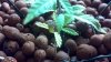 2011-09-20_11-17-38_495 DAY 36.JPG