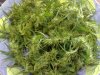 weed_harvest.jpg weed_harvest.jpg