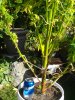 Sept 14-19 2011 025.jpg