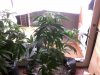 0920111343.jpg