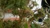 2011-09-13_18-23-35_819.jpg 2011-09-13_18-23-35_819.jpg