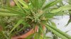 2011-09-13_18-24-31_885.jpg 2011-09-13_18-24-31_885.jpg
