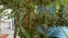 2011-09-13_18-23-26_792.jpg