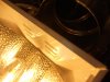 DSCN0552.jpg