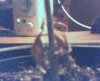 Picture 001.jpg
