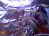 grow5.jpg