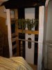 DSCN0923.jpg