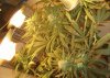 F27 Colas!.jpg