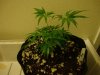DSC01884.jpg