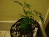 DSC01878.jpg