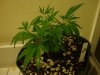 DSC01882.jpg