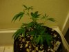 DSC01880.jpg