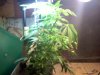 20110921181849.jpg