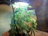 20110921181840.jpg