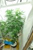 aDSC_0418.jpg