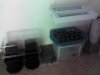 IMG_20110920_132501.jpg