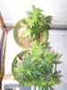 101_1816.jpg