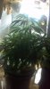2011-09-24_22-24-11_216.jpg