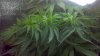 2011-09-24_22-22-57_623.jpg