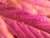 IMG_20110923_003800.jpg