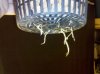 IMG_20110919_203915.jpg