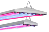 AgroLED.png AgroLED.png