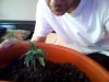 Snapshot_20110926.JPG