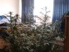 2011-09-27 11.51.47.jpg