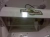 2011-08-07 16.02.25.jpg