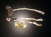 IMG_20110418_193439.jpg