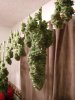 overwhelmded bt buds 002.jpg