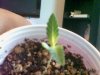 Snapshot_20110928_2.JPG