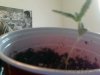 Snapshot_20110928_4.JPG