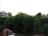 IMG_8022.jpg