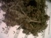 IMG00047-20110929-2005.jpg