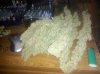 IMG_20110925_230459.jpg