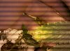 IMG_20110930_204317.jpg