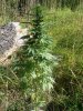 2011-09-29163233.jpg 2011-09-29163233.jpg