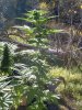 2011-09-29163134.jpg 2011-09-29163134.jpg