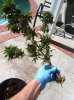 IMG_1763.jpg IMG_1763.jpg