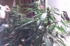 IMAG0114.jpg