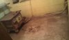 IMAG0142.jpg