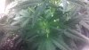 2011-10-03_23-53-22_411.jpg